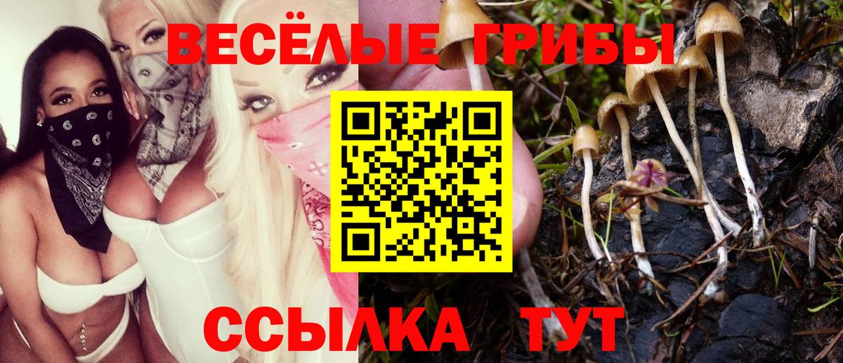 Галлюциногенные грибы Magic Shrooms Кропоткин