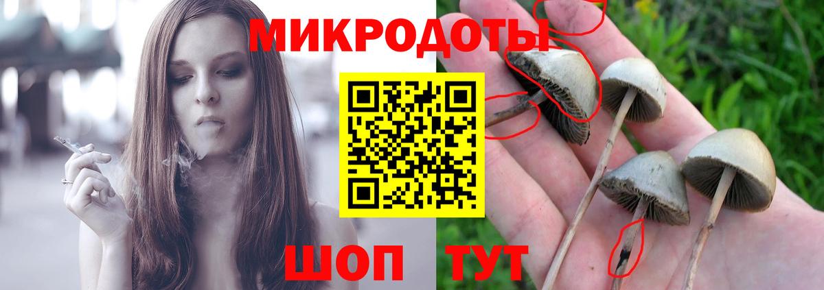 Псилоцибиновые грибы GOLDEN TEACHER  Вход с VPN  Кропоткин 